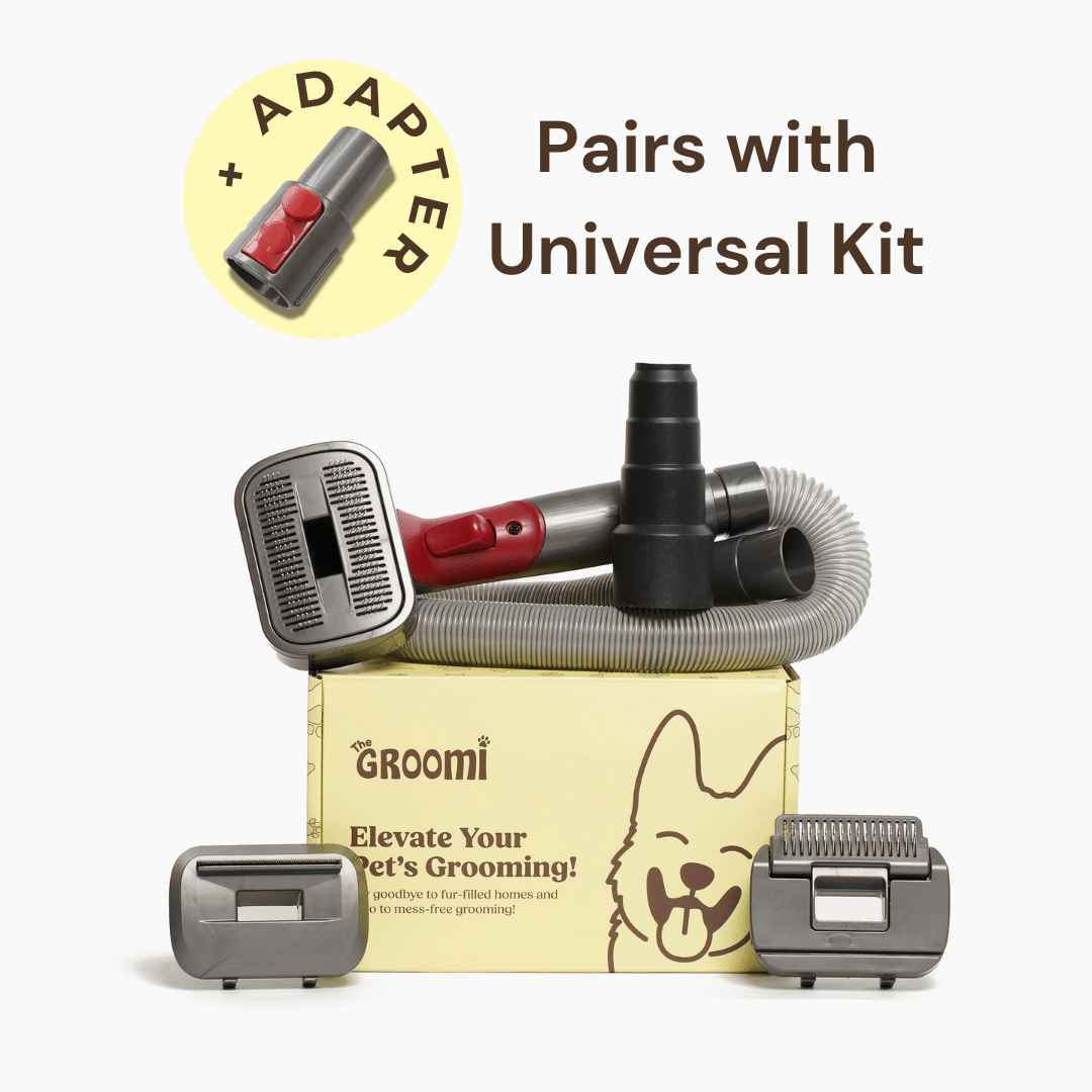 GROOMI: Dyson Big Ball Adapter. Pair your favourite GROOMI™️ (Universal Kit) mess-free grooming tool with your Dyson Big Ball Vacuum! This adapter allows you to easily connect any 32mm diameter vacuum cleaner attachment to your Dyson Cinetic Big Ball and Big Ball vacuum cleaners. Universal Kit With Extra Dyson Big Ball Adapter: Dyson Cinetic Big Ball: Multi Floor Extra, Allergy, Animal, Animal+, Animal Pro, Origin, Absolute; Dyson Dyson Big Ball: Origin, Multi Floor Extra, Animal+.