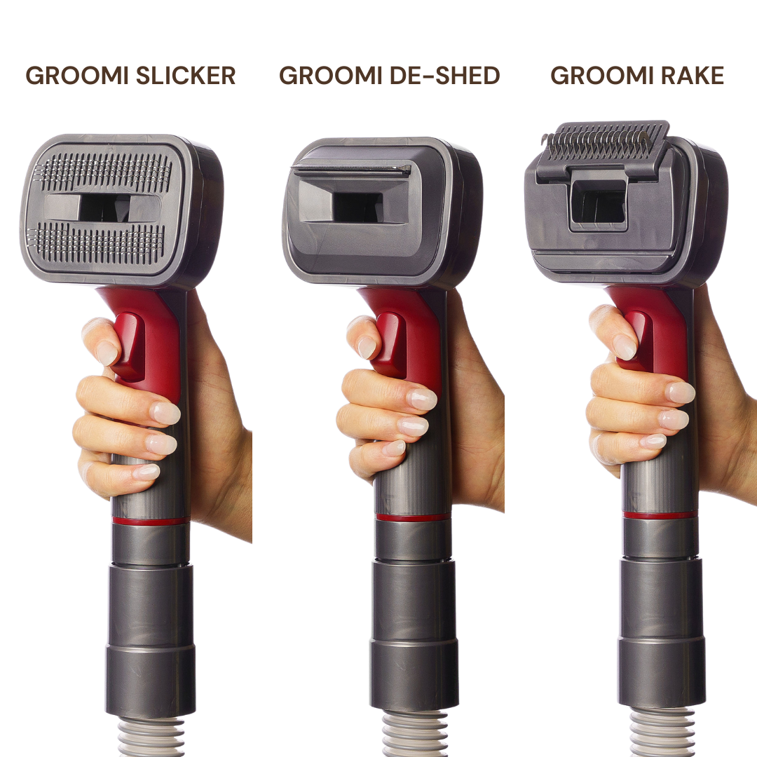 The GROOMI Kit is a quick, mess-free dog grooming brush that connects to vacuums. Ideal for all dog hair types, it features three heads: Slicker, De-Shed, and Rake. This self-cleaning tool captures loose fur efficiently, is allergen-friendly, and perfect for home use. Reduces shedding, saves time, and maintains a clean, fur-free home. Includes a universal vacuum adaptor and storage bag, making grooming simple and effective for any dog breed.