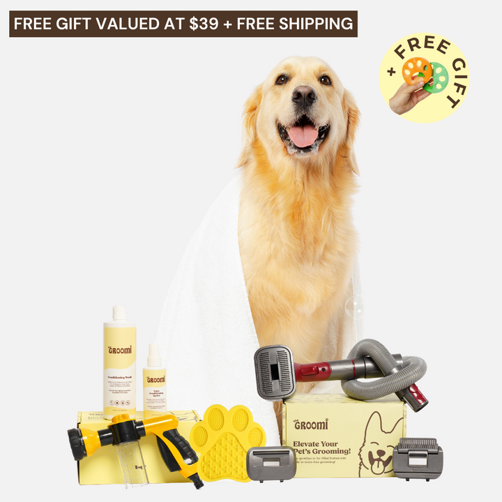 Discover the ultimate Groomi bundle! Includes the GROOMI Kit, Hydro Hound, Conditioning Wash, Spritz, Lick Mat. Enjoy up to 50% off, FREE shipping, and a bonus gift. This limited-time offer provides mess-free, quick, and gentle grooming suitable for all breeds. Vegan, organic, and designed to keep your pet calm and engaged. Shop now for professional results at home!