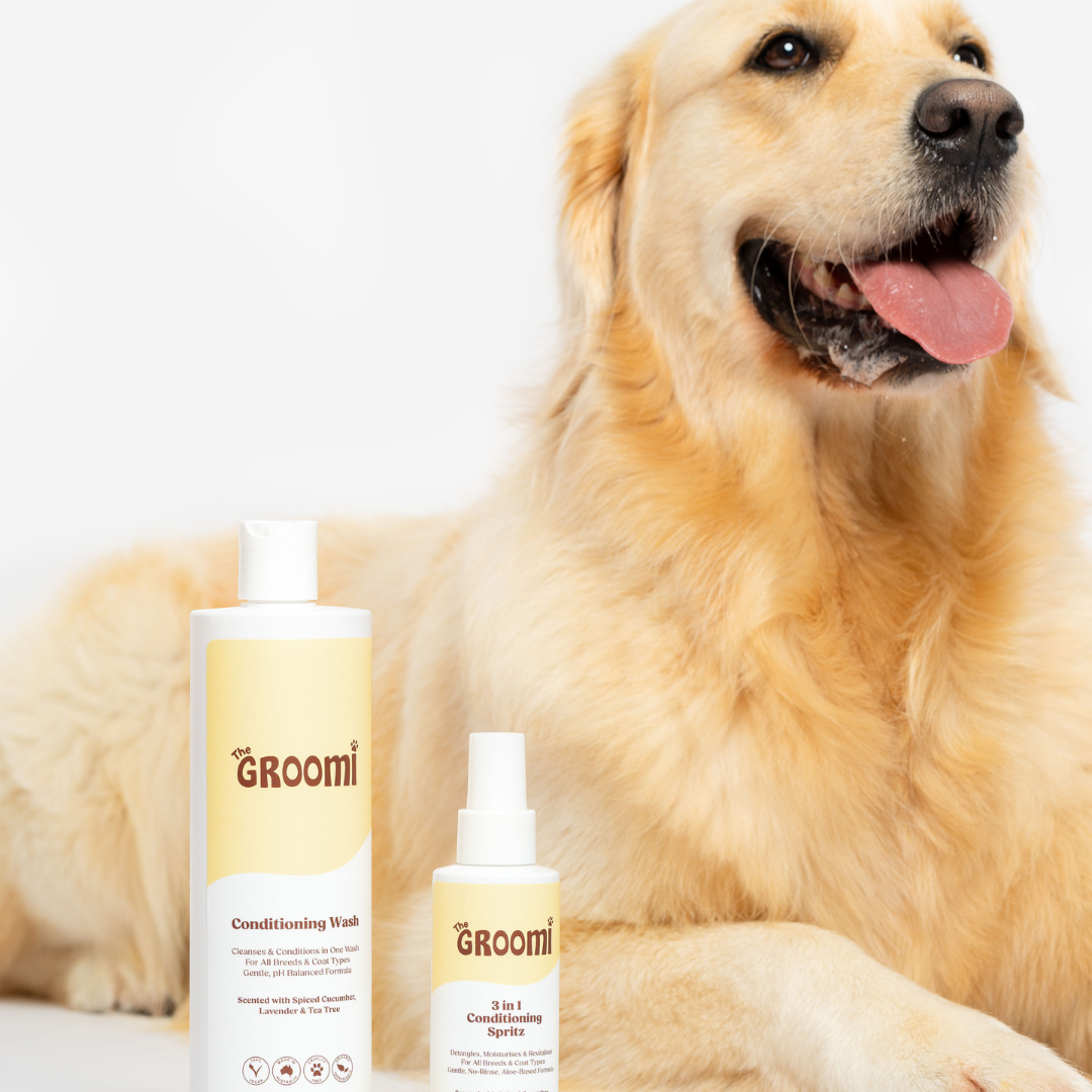 Bath Bundle for Dogs: Includes Hydro Hound, Conditioning Wash & Spritz. Achieve professional grooming results at home—quick, deep clean with a soft, shiny coat. Suitable for all breeds. Vegan, organic.