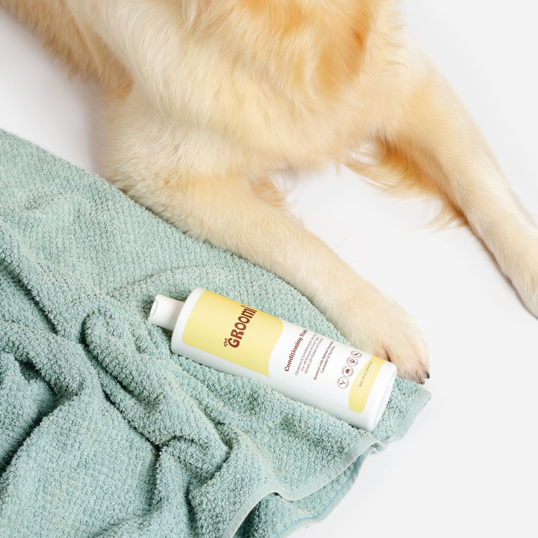 Conditioning Wash for Dogs: Quick clean & shine with organic Quinoa, Oats & Olive Oil. Gentle on skin, perfect for all breeds. Vegan, cruelty-free, free from harsh chemicals. Scented with cucumber, lavender, tea tree."