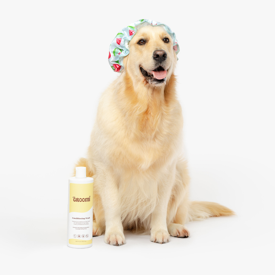 Conditioning Wash for Dogs: Quick clean & shine with organic Quinoa, Oats & Olive Oil. Gentle on skin, perfect for all breeds. Vegan, cruelty-free, free from harsh chemicals. Scented with cucumber, lavender, tea tree."