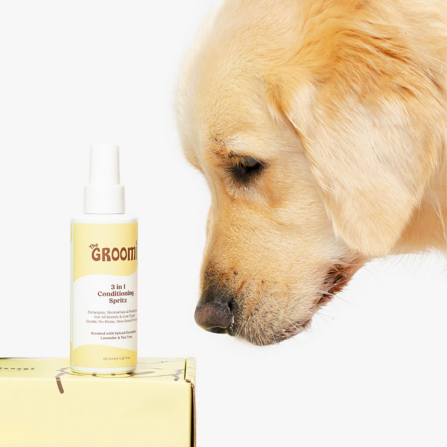 3-in-1 Dog Conditioning Spritz: Detangles, moisturises, and freshens coats. Made with organic aloe, vegan, cruelty-free. Keeps your pet smelling fresh with a glossy coat. Perfect for all dog breeds.