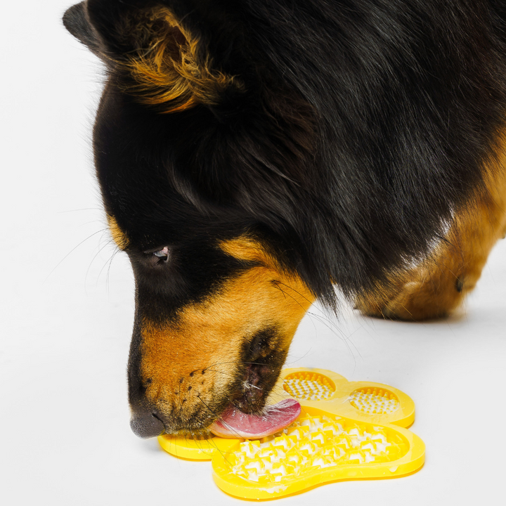 GROOMI Lick Mat: A playful, easy-to-use mat designed for pet grooming. Smear with treats to distract and calm your pet. It's celebrated for keeping pets engaged, promoting dental health with its textured design, and offers hassle-free cleaning with strong suction backing and dishwasher-safe material. Features include a money-back guarantee and free shipping.