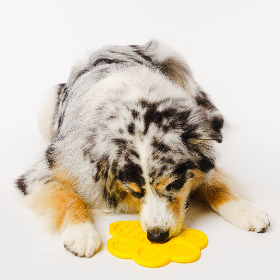 GROOMI Lick Mat: A playful, easy-to-use mat designed for pet grooming. Smear with treats to distract and calm your pet. It's celebrated for keeping pets engaged, promoting dental health with its textured design, and offers hassle-free cleaning with strong suction backing and dishwasher-safe material. Features include a money-back guarantee and free shipping.