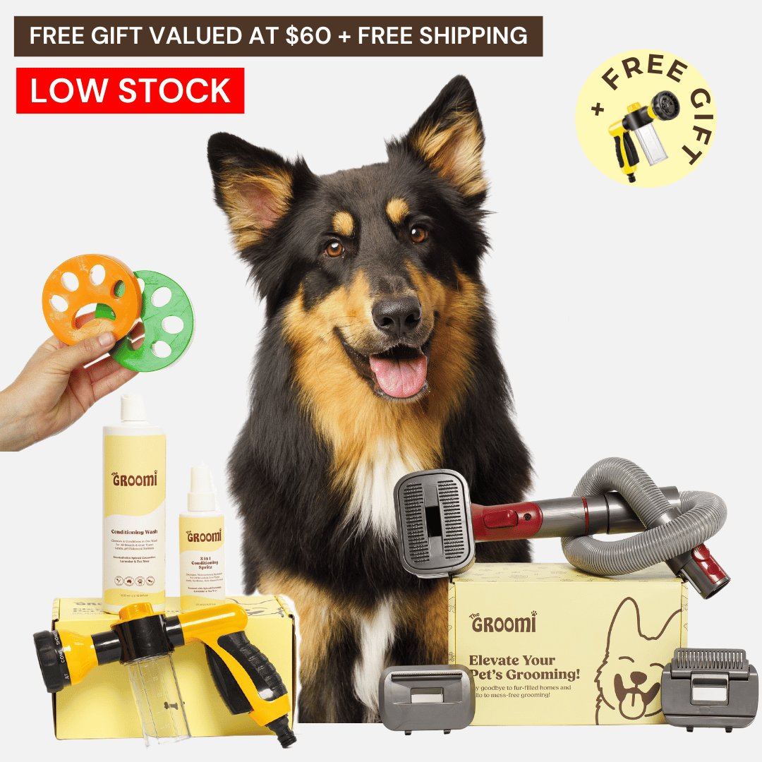 Discover the ultimate Groomi bundle! Includes the GROOMI Kit, Hydro Hound, Conditioning Wash, Spritz, Lick Mat. Enjoy up to 50% off, FREE shipping, and a bonus gift. This limited-time offer provides mess-free, quick, and gentle grooming suitable for all breeds. Vegan, organic, and designed to keep your pet calm and engaged. Shop now for professional results at home!