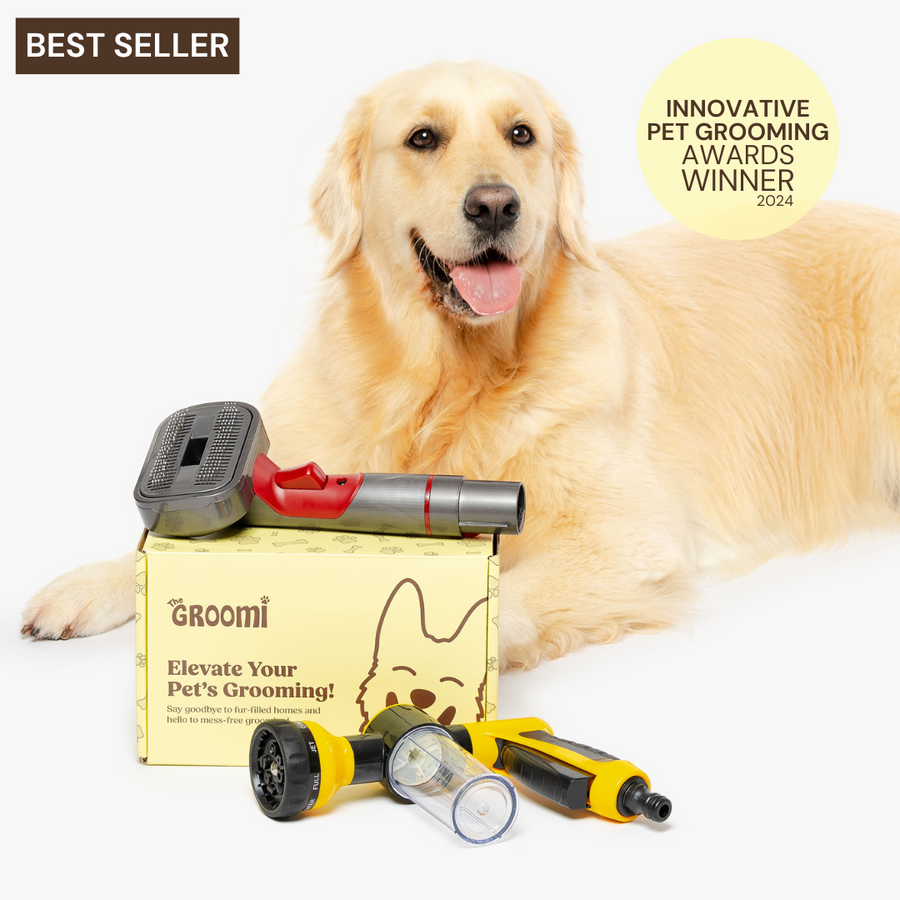 Dog grooming kits for sale best sale