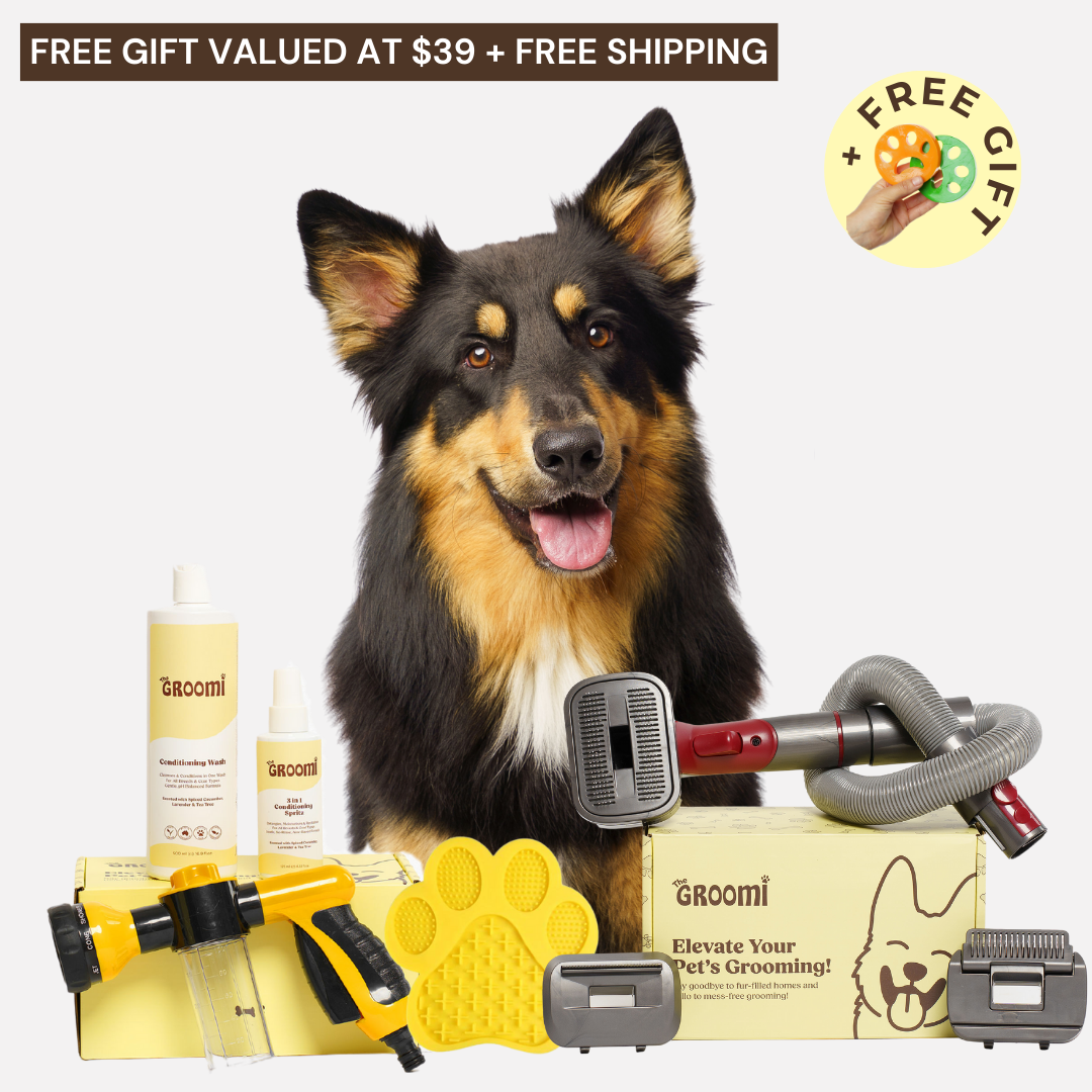 Discover the ultimate Groomi bundle! Includes the GROOMI Kit, Hydro Hound, Conditioning Wash, Spritz, Lick Mat. Enjoy up to 50% off, FREE shipping, and a bonus gift. This limited-time offer provides mess-free, quick, and gentle grooming suitable for all breeds. Vegan, organic, and designed to keep your pet calm and engaged. Shop now for professional results at home!