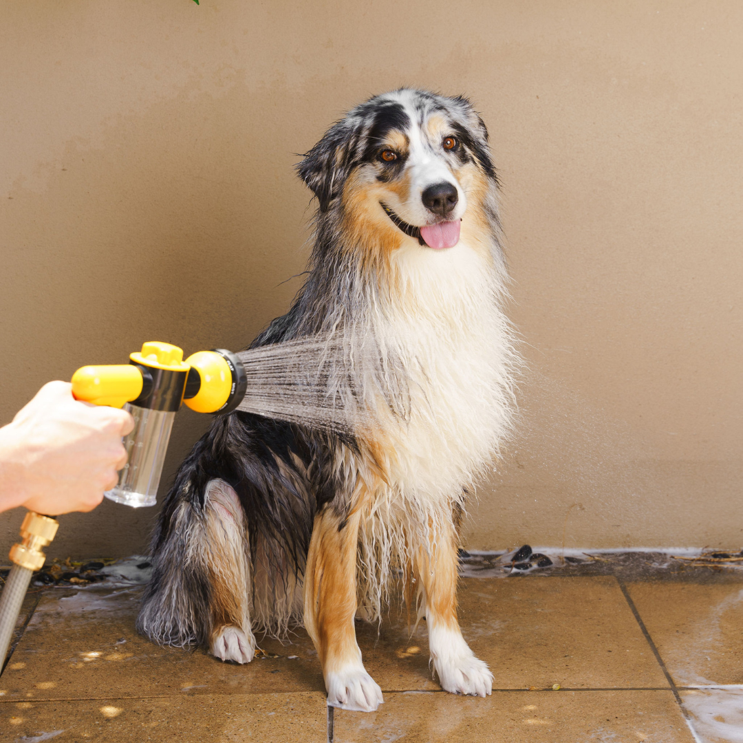 Dog shower hotsell hose attachment