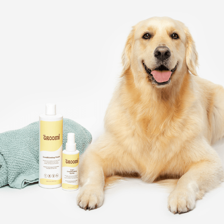 Bath Bundle for Dogs: Includes Hydro Hound, Conditioning Wash & Spritz. Achieve professional grooming results at home—quick, deep clean with a soft, shiny coat. Suitable for all breeds. Vegan, organic.