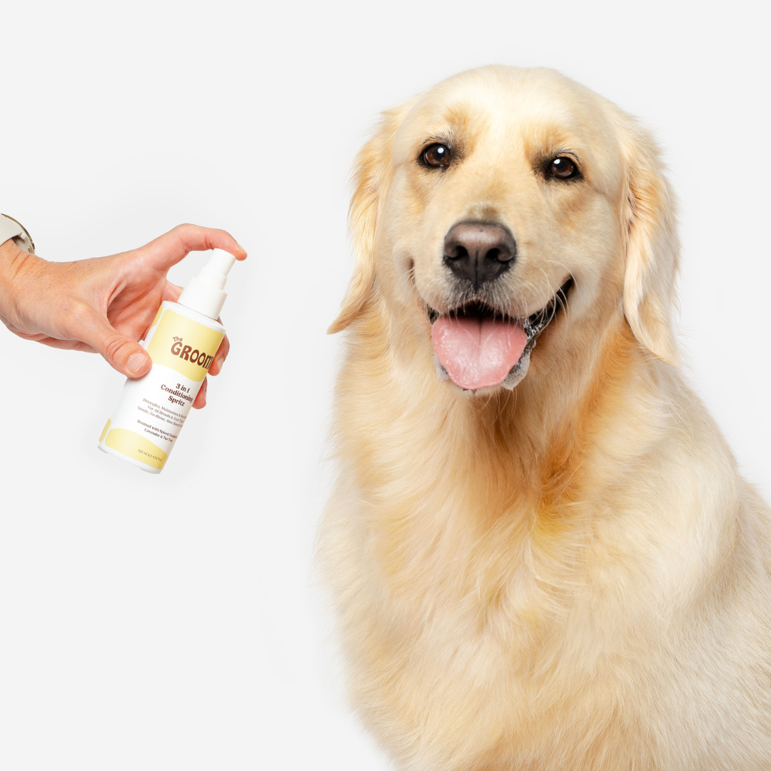 3-in-1 Dog Conditioning Spritz: Detangles, moisturises, and freshens coats. Made with organic aloe, vegan, cruelty-free. Keeps your pet smelling fresh with a glossy coat. Perfect for all dog breeds.