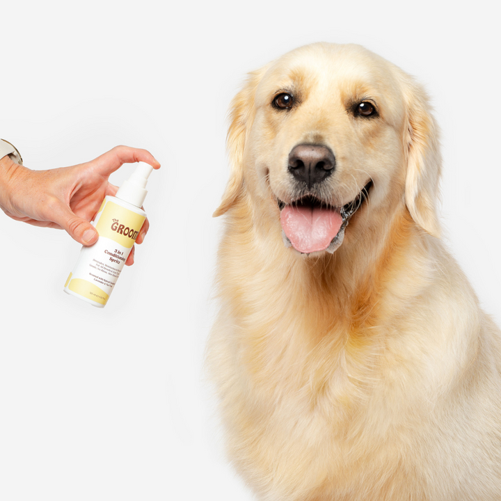 3-in-1 Dog Conditioning Spritz: Detangles, moisturises, and freshens coats. Made with organic aloe, vegan, cruelty-free. Keeps your pet smelling fresh with a glossy coat. Perfect for all dog breeds.