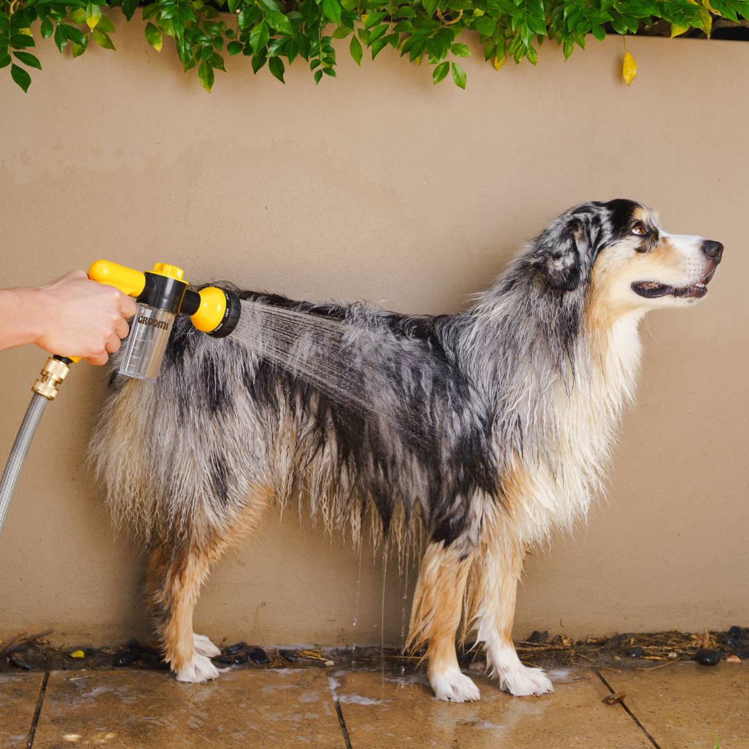 Groomi: Hydro Hound Effortlessly bathe your dog in record time! The Pup Jet makes your grooming routine faster & easier while providing a gentle, deep clean.