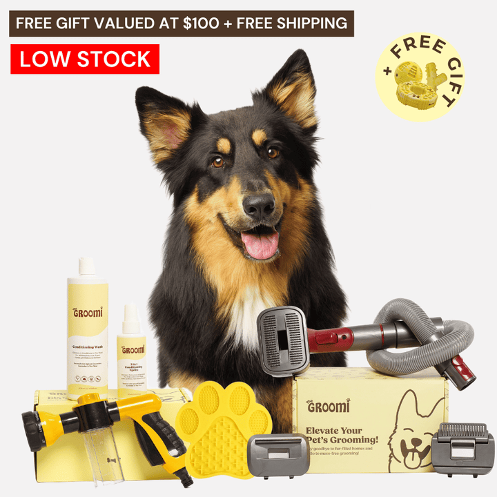 Discover the ultimate Groomi bundle! Includes the GROOMI Kit, Hydro Hound, Conditioning Wash, Spritz, Lick Mat. Enjoy up to 50% off, FREE shipping, and a bonus gift. This limited-time offer provides mess-free, quick, and gentle grooming suitable for all breeds. Vegan, organic, and designed to keep your pet calm and engaged. Shop now for professional results at home!