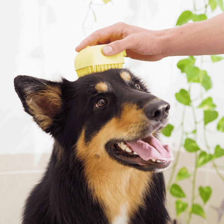 The Groomi: Foami Brush - The Ultimate Pet Bathing Brush with Built-In Foaming Dispenser. Suitable for all furry pets, cats, and dogs, the brush's soft, flexible silicone bristles promote a healthy coat. Convenient, cost-effective, and easy to use, with an ergonomic shape and non-slip hand grip design for comfortable bathing. Say goodbye to dirt and hello to clean with Foami Brush