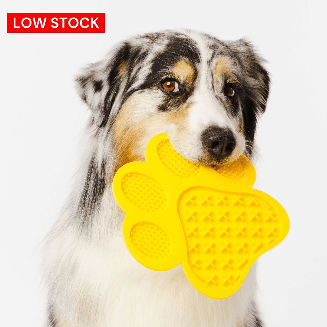 GROOMI Lick Mat: A playful, easy-to-use mat designed for pet grooming. Smear with treats to distract and calm your pet. It's celebrated for keeping pets engaged, promoting dental health with its textured design, and offers hassle-free cleaning with strong suction backing and dishwasher-safe material. Features include a money-back guarantee and free shipping.