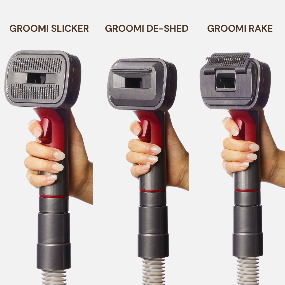 The GROOMI Kit is a quick, mess-free dog grooming brush that connects to vacuums. Ideal for all dog hair types, it features three heads: Slicker, De-Shed, and Rake. This self-cleaning tool captures loose fur efficiently, is allergen-friendly, and perfect for home use. Reduces shedding, saves time, and maintains a clean, fur-free home. Includes a universal vacuum adaptor and storage bag, making grooming simple and effective for any dog breed.