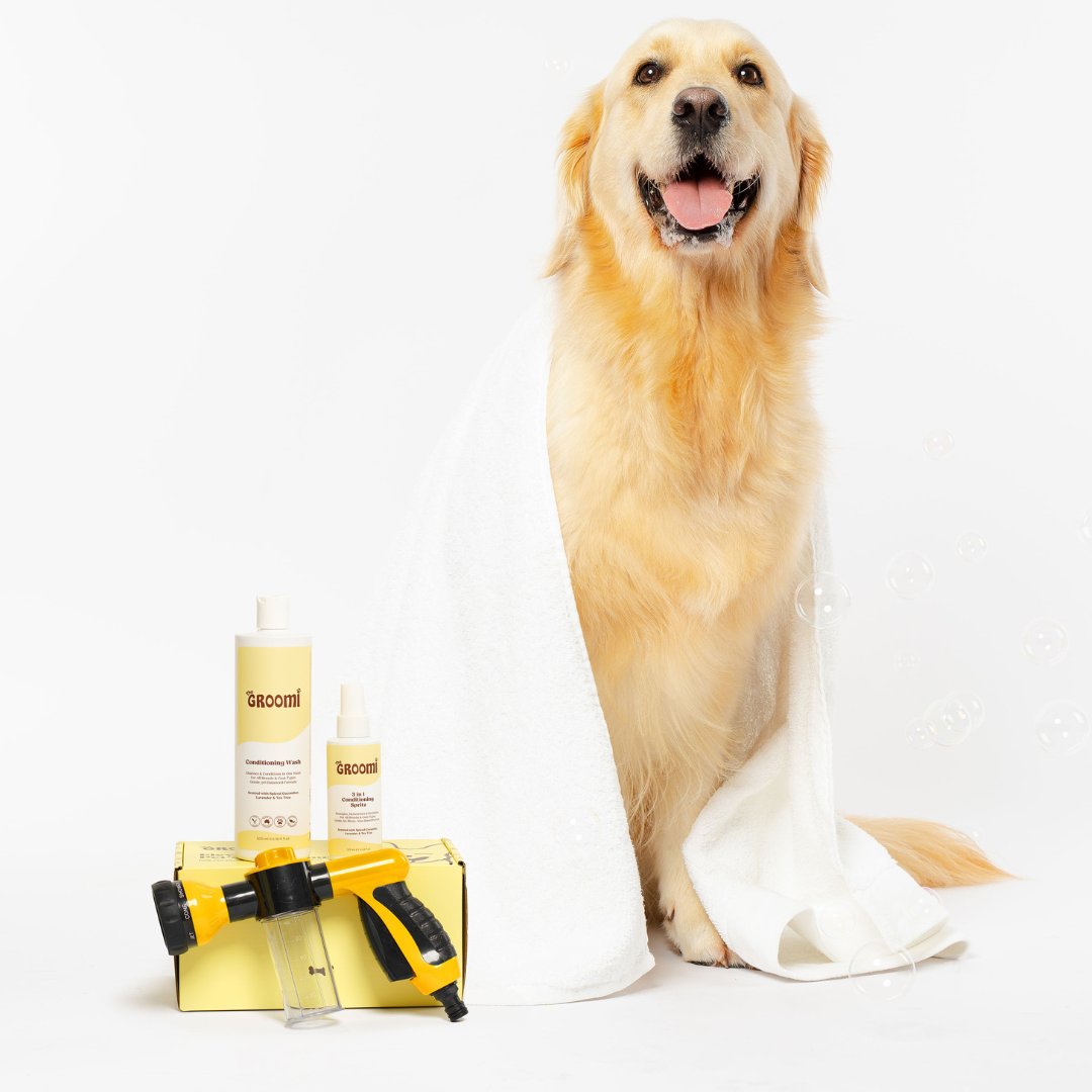 Bath Bundle for Dogs: Includes Hydro Hound, Conditioning Wash & Spritz. Achieve professional grooming results at home—quick, deep clean with a soft, shiny coat. Suitable for all breeds. Vegan, organic.