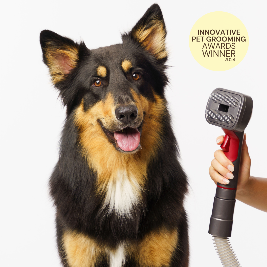 The GROOMI Kit is a quick, mess-free dog grooming brush that connects to vacuums. Ideal for all dog hair types, it features three heads: Slicker, De-Shed, and Rake. This self-cleaning tool captures loose fur efficiently, is allergen-friendly, and perfect for home use. Reduces shedding, saves time, and maintains a clean, fur-free home. Includes a universal vacuum adaptor and storage bag, making grooming simple and effective for any dog breed.