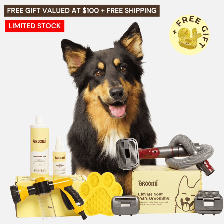 Premium Dog Grooming Supplies in Australia Mess Free Allergen Friendly Free Shipping The Groomi The GROOMI