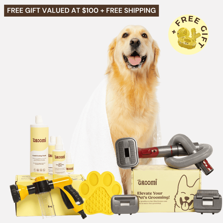 Discover the ultimate Groomi bundle! Includes the GROOMI Kit, Hydro Hound, Conditioning Wash, Spritz, Lick Mat. Enjoy up to 50% off, FREE shipping, and a bonus gift. This limited-time offer provides mess-free, quick, and gentle grooming suitable for all breeds. Vegan, organic, and designed to keep your pet calm and engaged. Shop now for professional results at home!