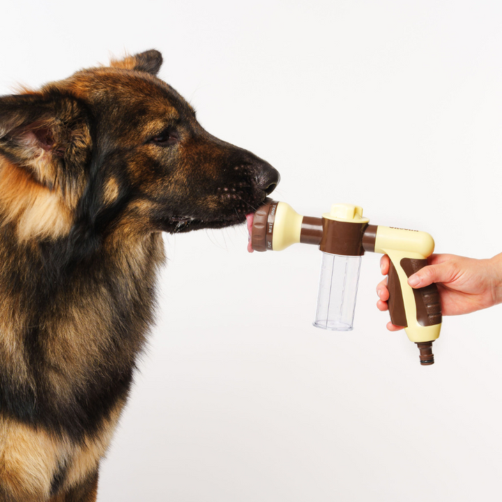 Bath Bundle for Dogs: Includes Hydro Hound, Conditioning Wash & Spritz. Achieve professional grooming results at home—quick, deep clean with a soft, shiny coat. Suitable for all breeds. Vegan, organic.