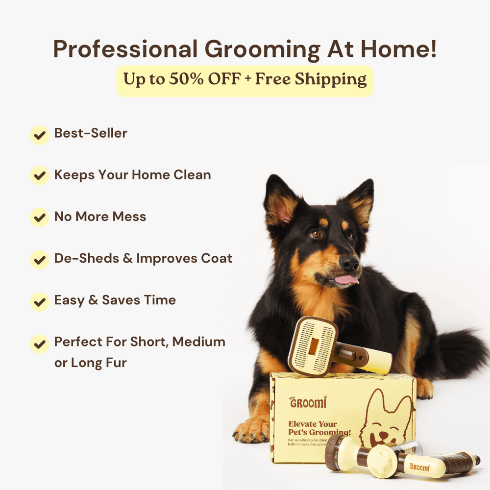 The GROOMI Kit is a quick, mess-free dog grooming brush that connects to vacuums. Ideal for all dog hair types, it features three heads: Slicker, De-Shed, and Rake. This self-cleaning tool captures loose fur efficiently, is allergen-friendly, and perfect for home use. Reduces shedding, saves time, and maintains a clean, fur-free home. Includes a universal vacuum adaptor and storage bag, making grooming simple and effective for any dog breed.