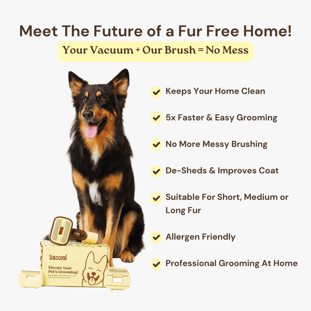 The GROOMI Kit is a quick, mess-free dog grooming brush that connects to vacuums. Ideal for all dog hair types, it features three heads: Slicker, De-Shed, and Rake. This self-cleaning tool captures loose fur efficiently, is allergen-friendly, and perfect for home use. Reduces shedding, saves time, and maintains a clean, fur-free home. Includes a universal vacuum adapter and storage bag, making grooming simple and effective for any dog breed.