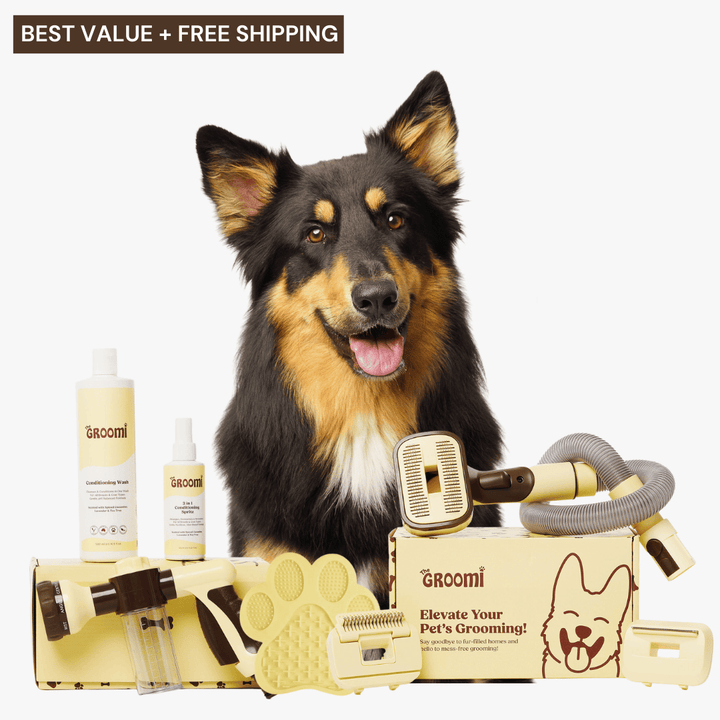 Discover the ultimate Groomi bundle! Includes the GROOMI Kit, Hydro Hound, Conditioning Wash, Spritz, Lick Mat. Enjoy up to 50% off, FREE shipping, and a bonus gift. This limited-time offer provides mess-free, quick, and gentle grooming suitable for all breeds. Vegan, organic, and designed to keep your pet calm and engaged. Shop now for professional results at home!