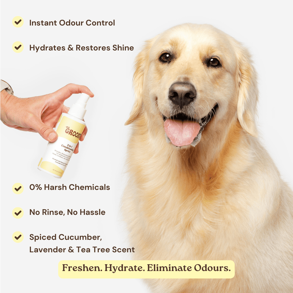 3-in-1 Dog Conditioning Spritz: Detangles, moisturises, and freshens coats. Made with organic aloe, vegan, cruelty-free. Keeps your pet smelling fresh with a glossy coat. Perfect for all dog breeds.