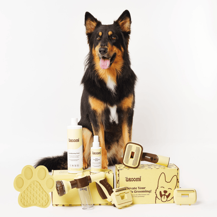 Discover the ultimate Groomi bundle! Includes the GROOMI Kit, Hydro Hound, Conditioning Wash, Spritz, Lick Mat. Enjoy up to 50% off, FREE shipping, and a bonus gift. This limited-time offer provides mess-free, quick, and gentle grooming suitable for all breeds. Vegan, organic, and designed to keep your pet calm and engaged. Shop now for professional results at home!