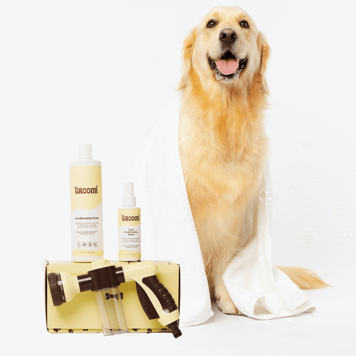 Discover the ultimate Groomi bundle! Includes the GROOMI Kit, Hydro Hound, Conditioning Wash, Spritz, Lick Mat. Enjoy up to 50% off, FREE shipping, and a bonus gift. This limited-time offer provides mess-free, quick, and gentle grooming suitable for all breeds. Vegan, organic, and designed to keep your pet calm and engaged. Shop now for professional results at home!