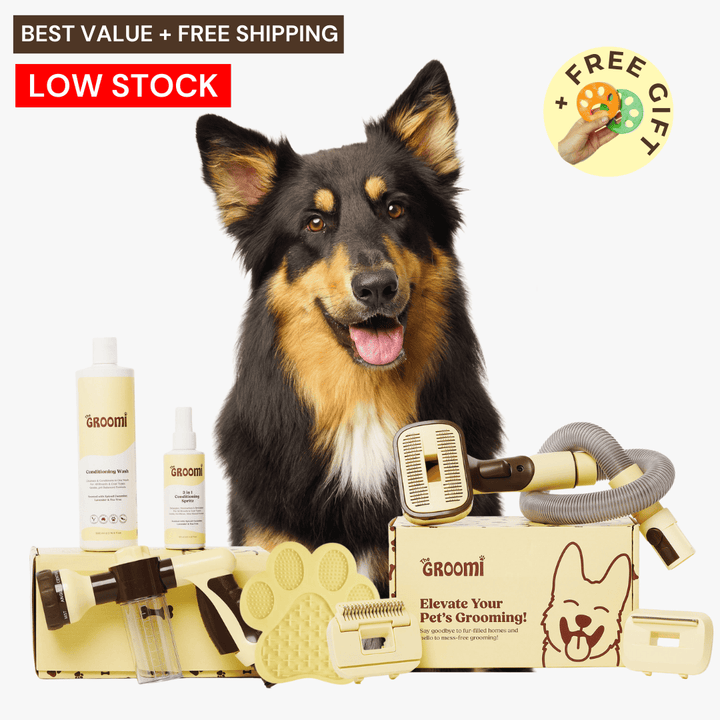 Discover the ultimate Groomi bundle! Includes the GROOMI Kit, Hydro Hound, Conditioning Wash, Spritz, Lick Mat. Enjoy up to 60% off, FREE shipping, and a bonus gift. This limited-time offer provides mess-free, quick, and gentle grooming suitable for all breeds. Vegan, organic, and designed to keep your pet calm and engaged. Shop now for professional results at home!