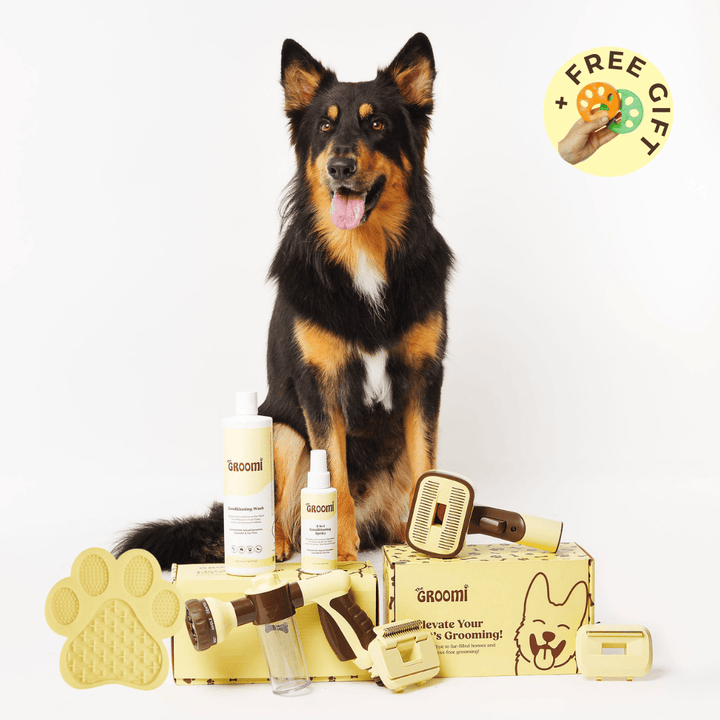 Discover the ultimate Groomi bundle! Includes the GROOMI Kit, Hydro Hound, Conditioning Wash, Spritz, Lick Mat. Enjoy up to 60% off, FREE shipping, and a bonus gift. This limited-time offer provides mess-free, quick, and gentle grooming suitable for all breeds. Vegan, organic, and designed to keep your pet calm and engaged. Shop now for professional results at home!