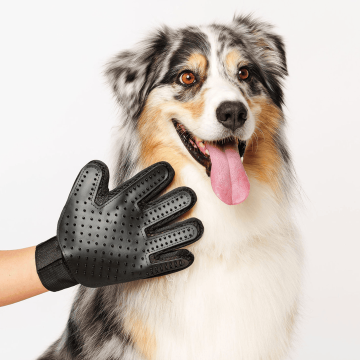 GROOMI Gloves (Pre-Order)